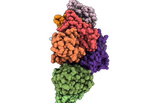 9N8J image