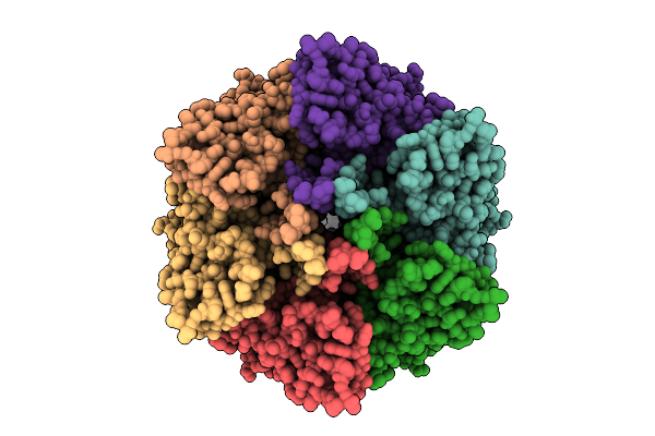 9N8X image