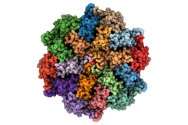 9N92 image
