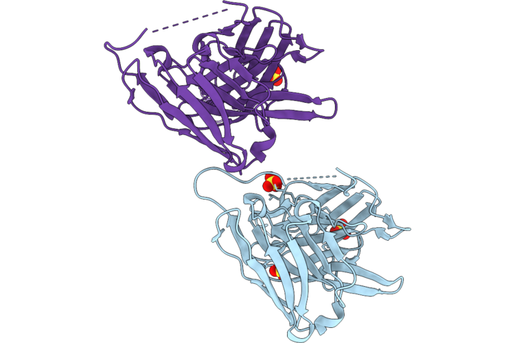 9N97 image