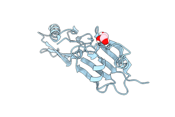 9N9A image