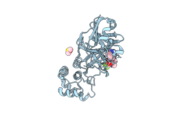 9N9B image