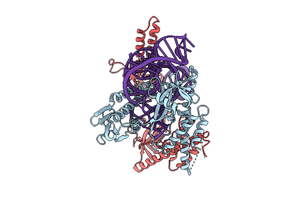 9N9C image
