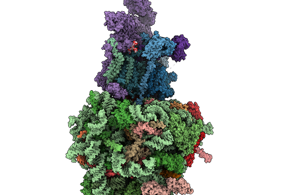 9N9J image