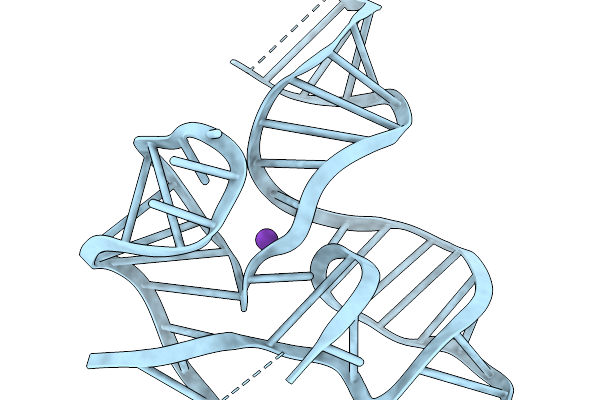 9NAM image