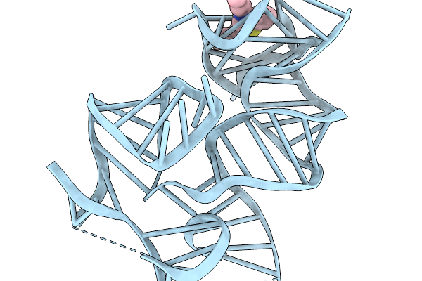 9NAP image