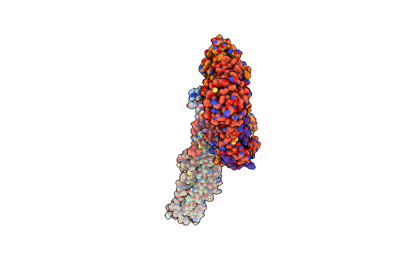 9NBB image