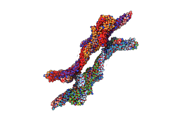 9NBD image