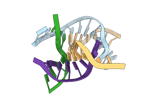 9NBU image