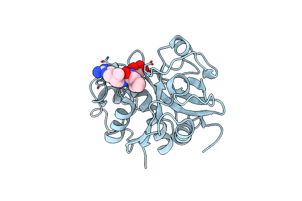 9NCA image