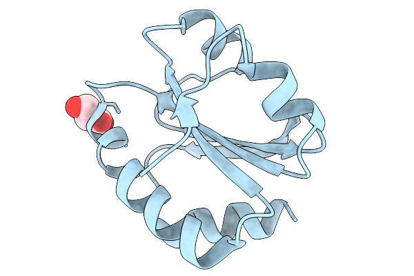 9NCG image