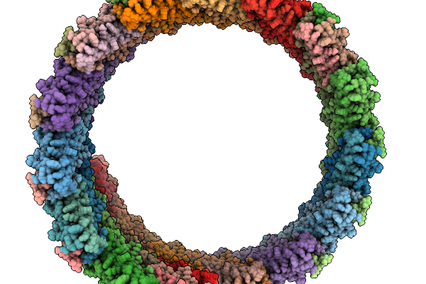 9NCJ image