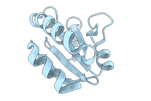 9NCL image