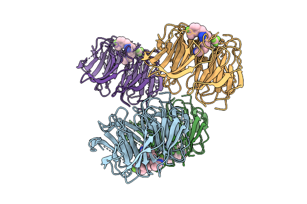 9NCV image