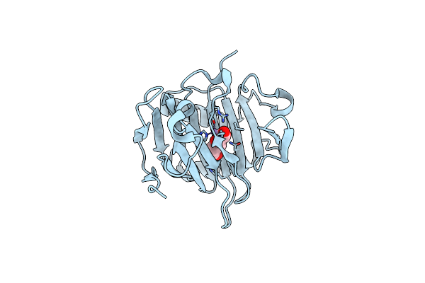 9NCZ image