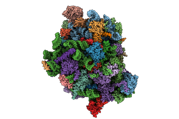 9NDP image