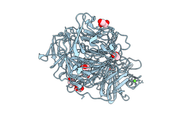 9NDR image