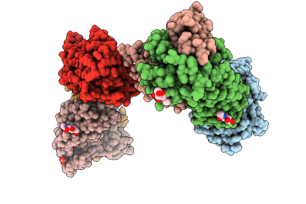 9NDS image