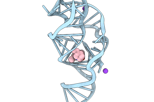9NDV image