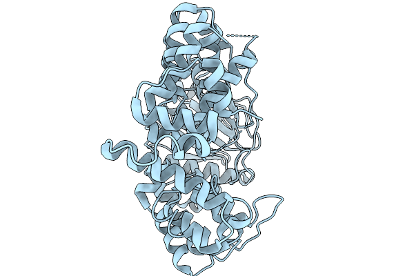 9NEN image