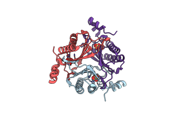 9NF1 image