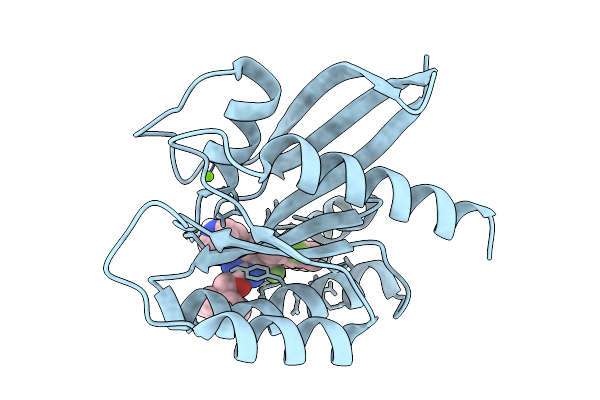 9NF2 image
