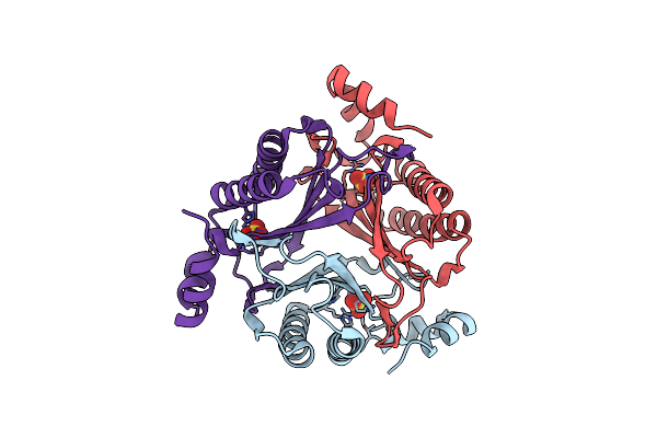 9NF3 image
