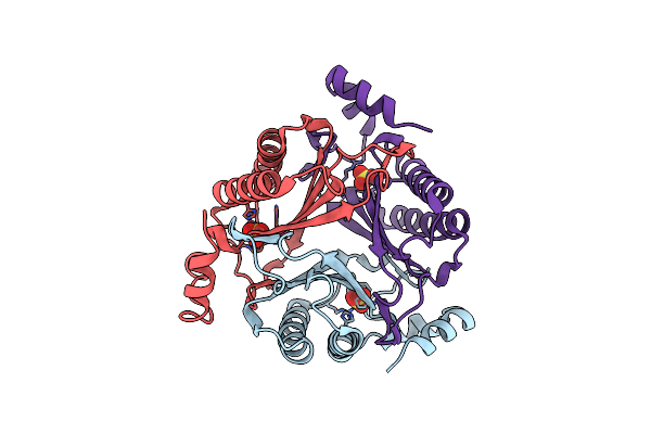 9NF9 image