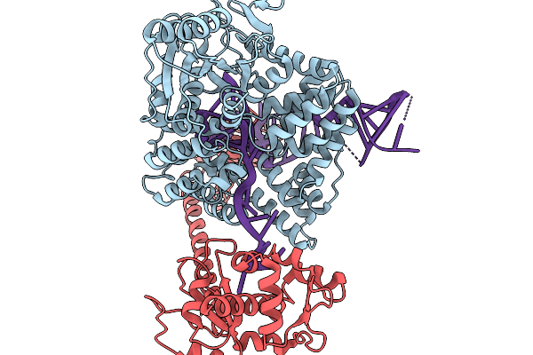 9NFA image