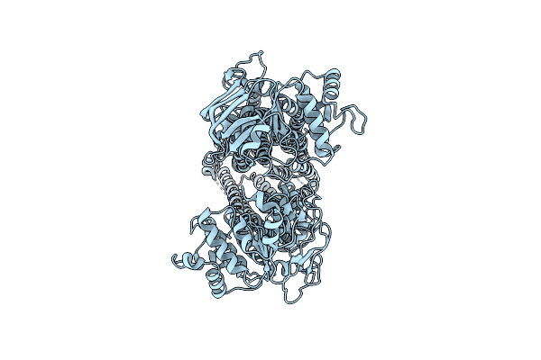 9NFI image