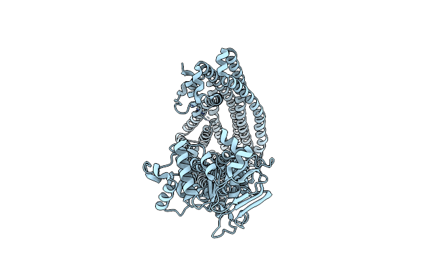 9NFK image