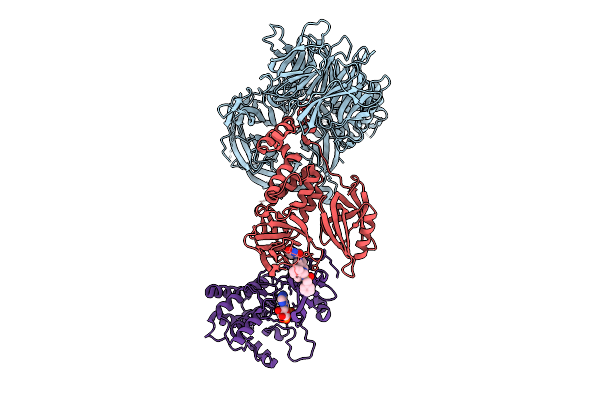 9NFQ image