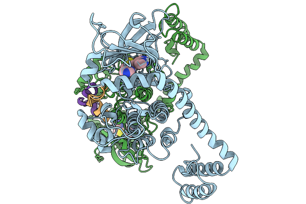 9NFS image
