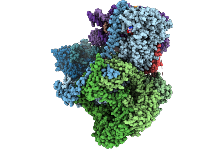 9NFV image