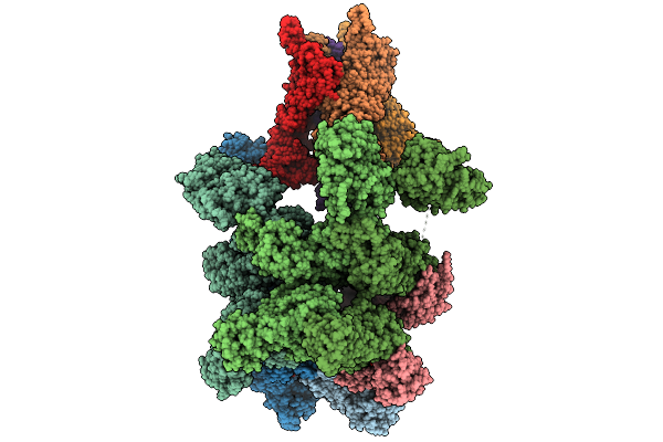 9NG2 image