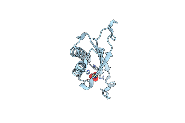9NGB image