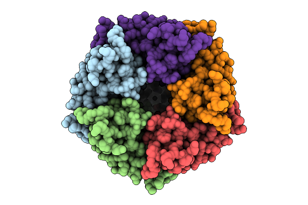 9NGF image