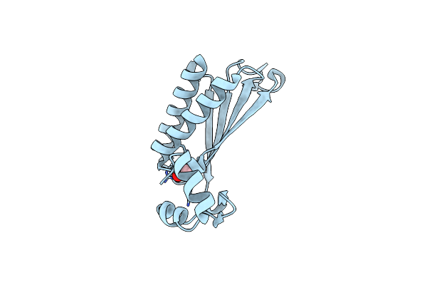 9NGH image