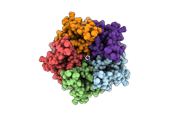 9NGI image