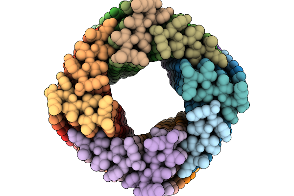 9NGK image