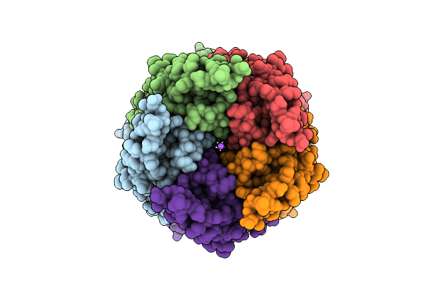 9NGS image