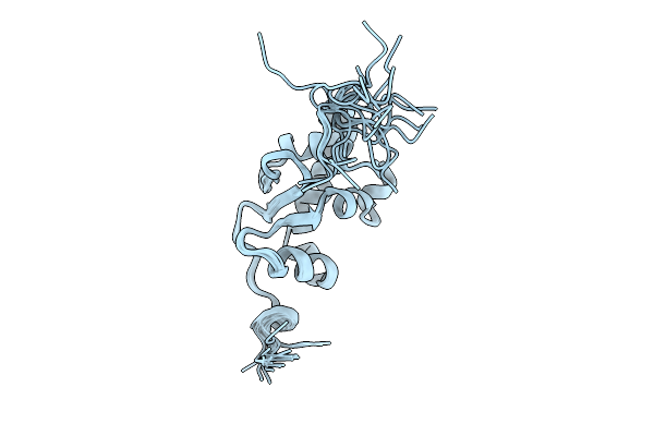 9NGX image