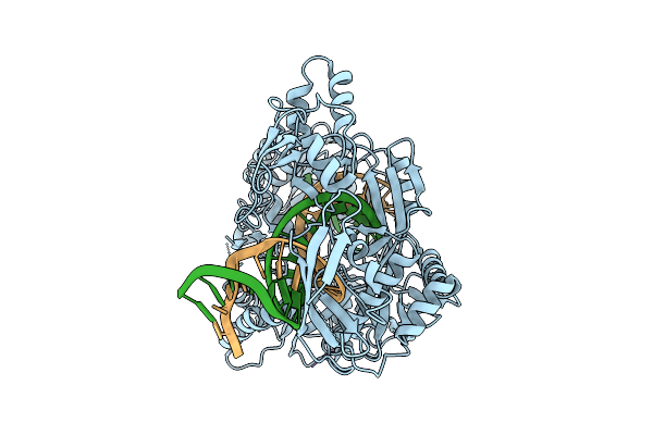 9NHB image