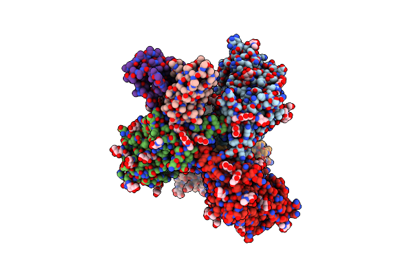 9NHM image