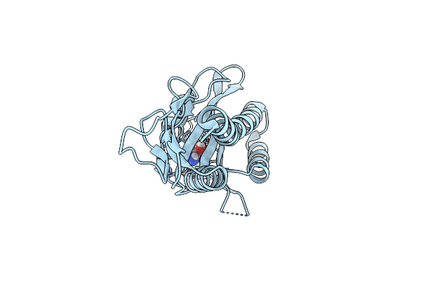 9NIT image