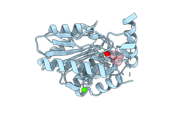 9NIX image