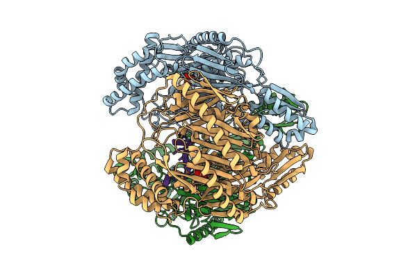 9NJB image