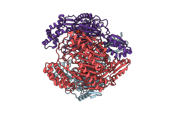 9NJD image