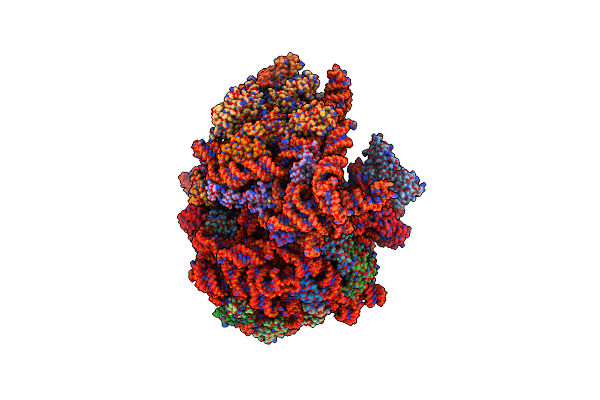 9NJF image