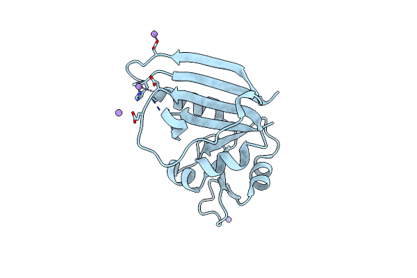 9NJO image